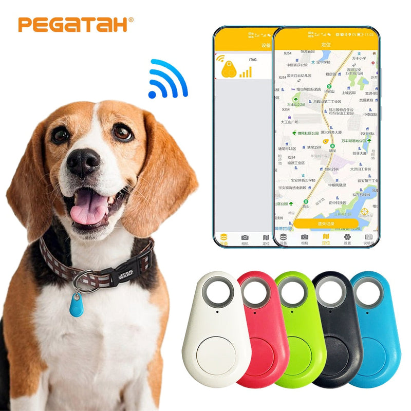 GPS para Pets